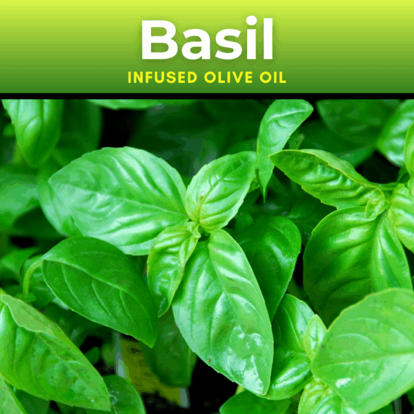 Basil Infused Olive Oil