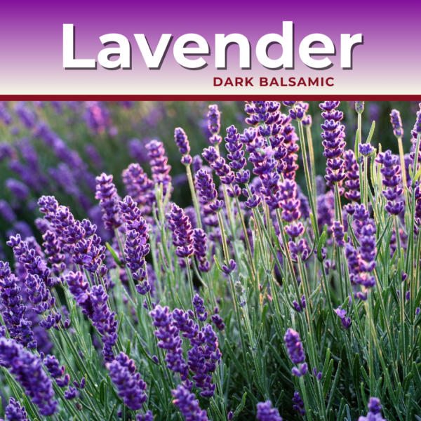 Lavender Balsamic Vinegar Condimento